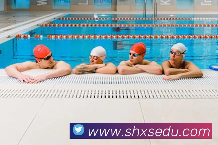 App Interface Preview